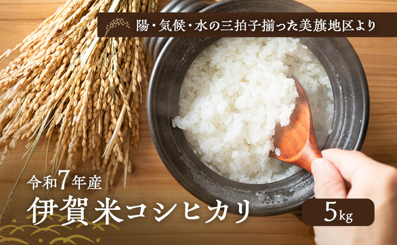 陽・気候・水の三拍子揃った美旗地区より みはたM'sファーム 令和7年産 伊賀米コシヒカリ 5kg