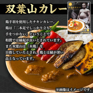 ＜訳あり・簡易包装＞双葉山カレー(計1.8kg・180g×10P) 鶏肉 鳥肉 とりにく とり肉 お肉 カレー チキンカレー スパイスカレー レトルト 簡単調理 常温 保存【115601500】【SF
