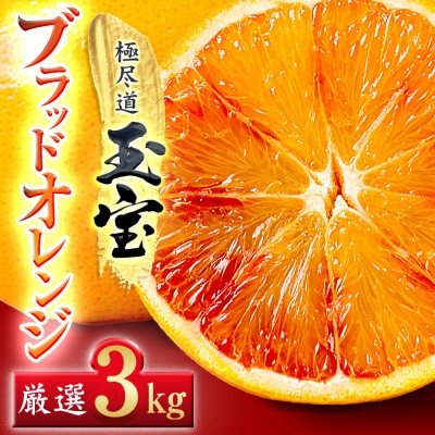 【愛媛名産】玉宝ブラッドオレンジ(タロッコ)　3kg【D64−69】【1621811】