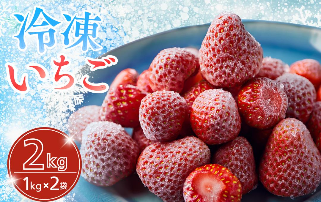 　【先行予約＿2026年出荷分】いちご 完熟冷凍いちご 2kg ｜ いちご 果物 フルーツ 苺 イチゴ 冷凍 果物 フローズン くだもの 紅ほっぺ 大容量 静岡県産 期間限定 strawberry 完熟 甘い おすすめ 新鮮 朝摘み 贈答 フルーツ 果物 旬 数量限定 期間限定 産地直送 伊豆 南伊豆 静岡