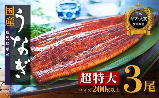 
                  鹿児島県産 長蒲焼 特大3尾 200g以上 × 3尾 うなぎ蒲焼 国産 人気 うなぎ 鹿児島 うなぎ 国産 鰻 国産うなぎ蒲焼き うな重 ひつまぶし ウナギ 蒲焼 人気 おすすめ ふるさと納税 鹿児島県 大崎町 A932
                