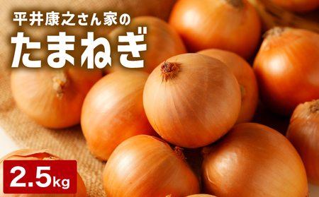 岩見沢産「平井康之さん家のたまねぎ」M玉 2.5kg【食絶景北海道×ゼロカーボンアワード2024 奨励賞『オニオンスナック オニカ』で使用】たまねぎ 玉葱 タマネギ 産地 まとめ買い 贈り物 甘い 野菜 北海道 a171-001