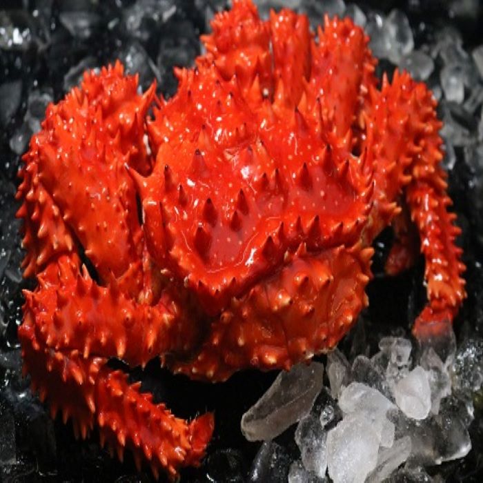 【ふるさと納税】 浜ゆで花咲がに 活時 700 〜 900g 前後 × 3 尾 活時 1kg 〜 1.7kg 前後 × 1 尾 活時 1kg 〜 1.7kg 前後 × 2 尾 カニ かに 蟹 花咲ガニ 花咲蟹 ボイル 茹で蟹 茹でがに 茹でガニ お取り寄せ グルメ 海鮮 北海道 根室市 ふるさと納税