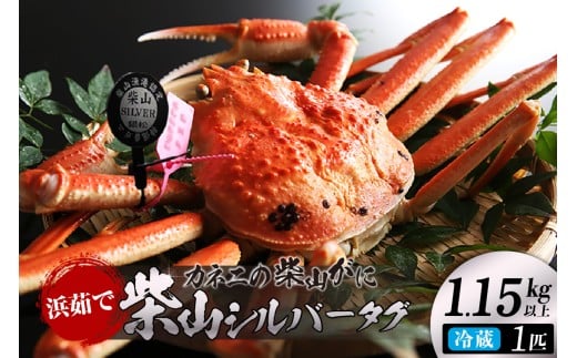 【先行予約】【カネニの浜茹で柴山がに 柴山シルバータグ付き ボイル後1.15kg以上】令和7年11月以降、水揚げ次第順次発送予定 冷蔵 高級 かにすき 焼きガニ カニ ボイル 兵庫県 香美町 香住 柴山 400000円 カネニ 06-23