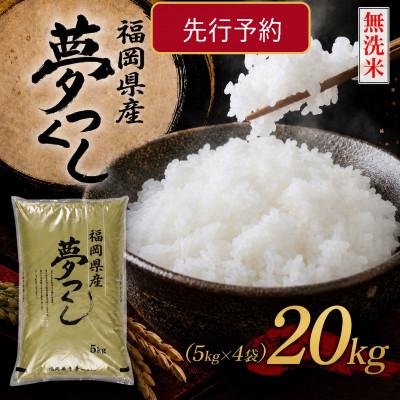 ふるさと納税 行橋市 《無洗米》【8年産　新米】9月〜発送【食味鑑定士厳選】福岡県産夢つくし20k(5k×4袋)(行橋市)