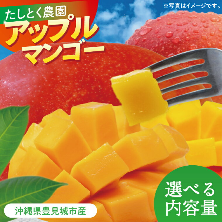 【ふるさと納税】【選べる内容量】沖縄県豊見城市産アップルマンゴー 約1.5kg or 約2kg｜マンゴー アップルマンゴー フルーツ くだもの 果物 数量限定 おきなわ 沖縄 沖縄フルーツ 豊見城市
