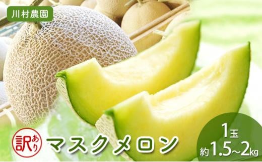 【静岡・三保松原の甘い誘惑マスクメロン】訳ありでも甘い！マスクメロン 1玉（約1.5kg～2kgサイズ）