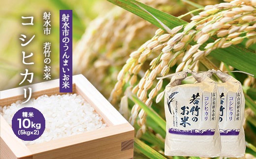 
                  【R8年度産米 新米予約】 [人気のブランド米]コシヒカリ「若竹のお米 」　10kg（5kg×2）【精米】｜米 こめ コメ こしひかり 先行予約 予約 新米 白米 ブランド米 銘柄米 人気 ランキング 富山 富山米 北陸 北陸米 富山コシヒカリ 北陸コシヒカリ 精米コシヒカリ 10キロ 10キロ米 10kg ※離島への配送不可 ※2026年10月上旬～10月下旬頃に順次発送予定
                