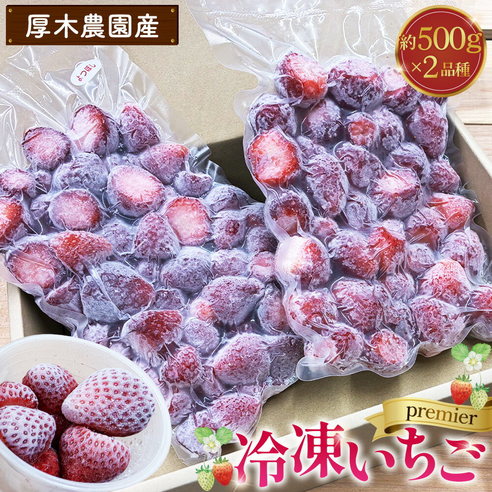 【ふるさと納税】厚木農園産　プレミア冷凍いちご（1kg） ／ フルーツ 苺 冷凍苺 2品種 飯山 自然 栽培 丁寧 選別 送料無料 神奈川県