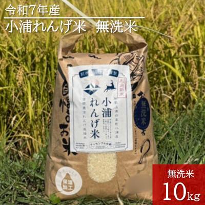 ふるさと納税 日高町 2025年産(令和7年産)!日高町小浦の無洗米「小浦れんげ米」10kg