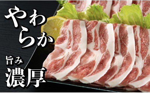 [B581］ 長崎県産 豚肉 ローススライス 計1kg (500g×2) 小分け 冷凍 豚肉 しゃぶしゃぶ すき焼き ぶたにく 国産豚