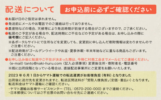 黄金(くがに)マンゴー「金蜜」(2kg以上) 【2025年７月中旬～