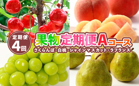 【定期便4回】果物定期便Aコース(さくらんぼ、白桃、シャインマスカット、ラフランス) 【令和7年産先行予約】FS24-744