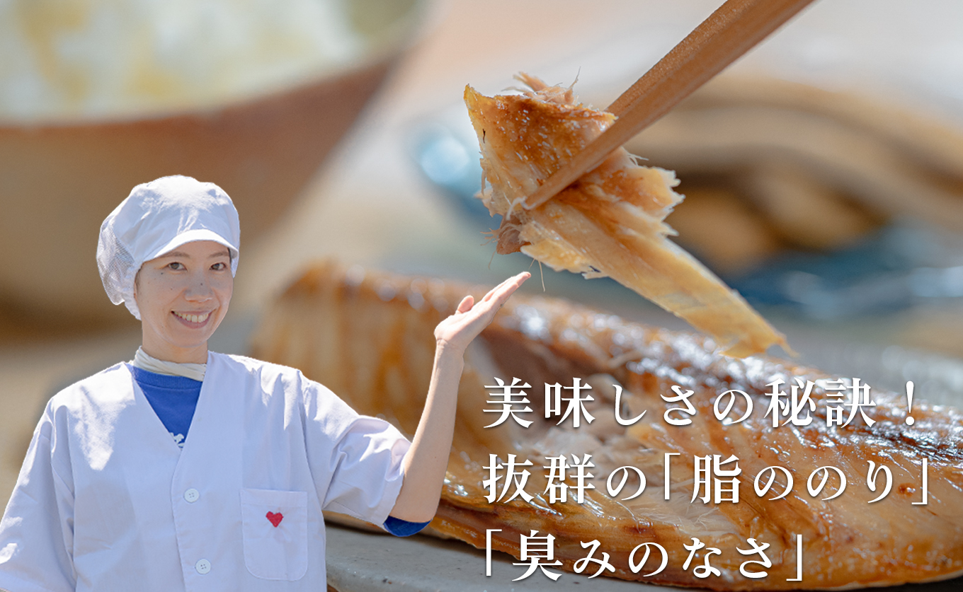 海の幸セット(干物・海産物詰め合わせ)　8～10品