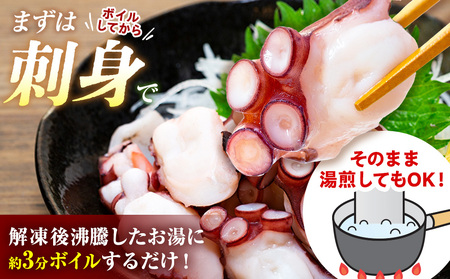 タコ 三昧 ( 120g × 1袋入 ) 冷凍 たこ足 タコ 蛸 小分け 真空パック 海鮮 新鮮 魚介 海の幸 海産物 刺身 国産 シーフードエム・エム 愛知県 南知多町