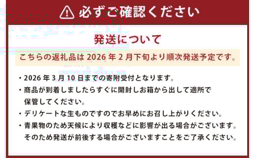 熊本県産 不知火柑 約4.5kg しらぬい 果物 柑橘類 みかん 蜜柑 【2026年2月下旬発送開始】