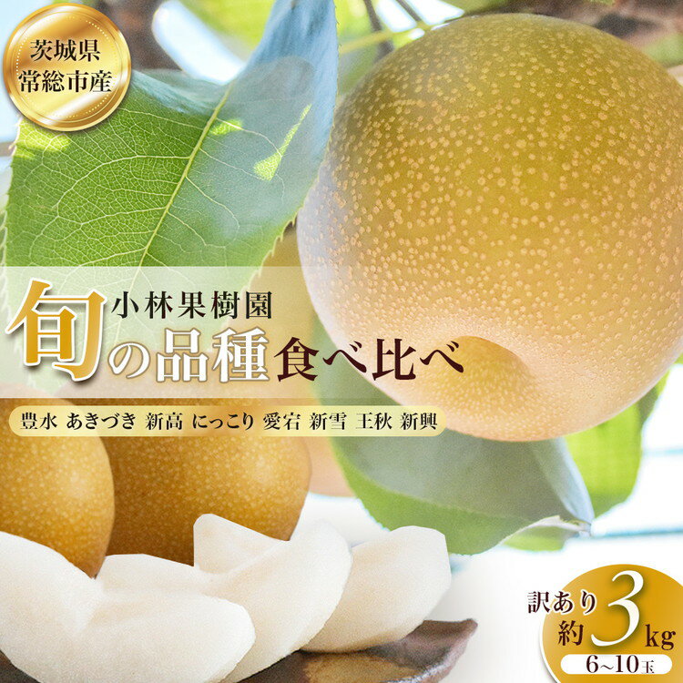 【ふるさと納税】【訳アリ！先行予約】小林果樹園の梨 6〜10玉 約3kg｜朝どり みず 梨 なし ナシ フルーツ 果物 豊水 あきづき 新高 にっこり 愛宕 新雪 王秋 新興 常総市 お中元 お歳暮 内祝い 会期祝い　※2026年9月～発送