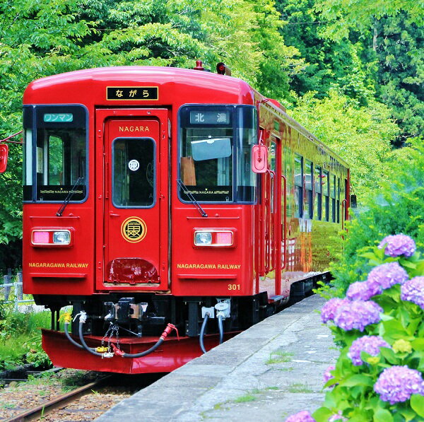 【ふるさと納税】観光列車 「ながら」 スイーツプラン 予約乗車券（ペア）｜観光 予約 券 2名様 長良川鉄道 長良川 鉄道 ローカル列車 列車旅 和菓子 洋菓子 美濃太田駅 郡上八幡駅 鮎号 岐阜県 美濃加茂市 送料無料