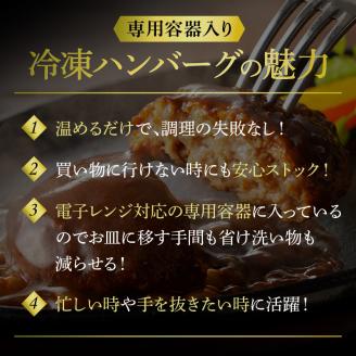 容器のままレンジで簡単！特製デミハンバーグ10個 【ブロッコリー&ミックスベジタブル添え】KP8206