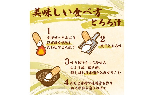 【 2026年度予約受付 】1kg 自然薯 真空パック 使い切り パック 便利 じねんじょ 山芋 ヤマイモ 山いも とろろ とろろ汁 とろろご飯 ご飯のお供 美味しい おいしい 自宅用 家庭用 贈答用