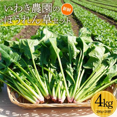 ふるさと納税 山田町 三陸山田産 新鮮 ほうれん草 セット 4kg ホウレンソウ 野菜