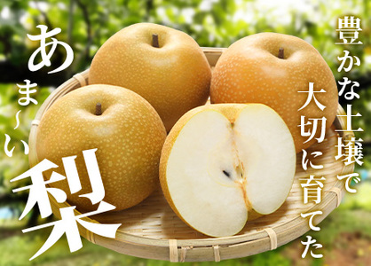 【2026年8月中旬～発送】豊永の 梨 約5kg 熊本 070-0592
