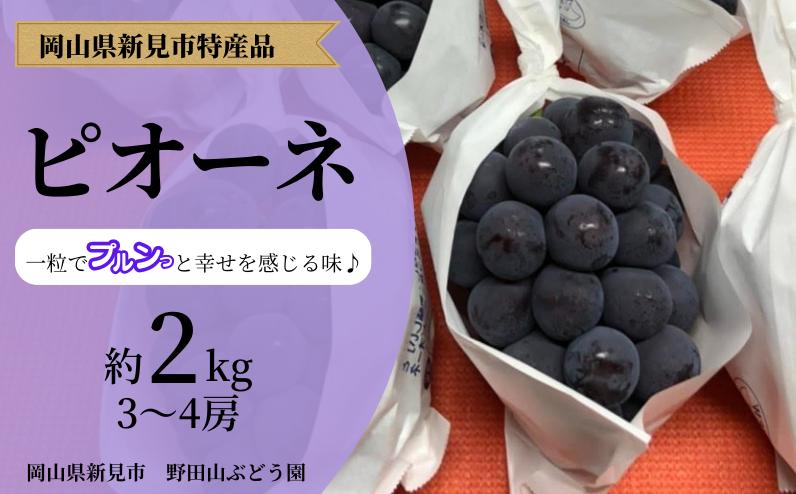 ぶどう栽培に適した土地、新見市草間地域で栽培されたピオーネ、3～4房をお届けします。