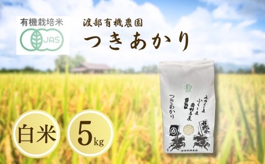 JAS有機米 つきあかり 白米5kg 令和7年産 | JAS 有機米 コメ 米 こめ ブランド米 銘柄 福島 福島県産 渡部有機農園
