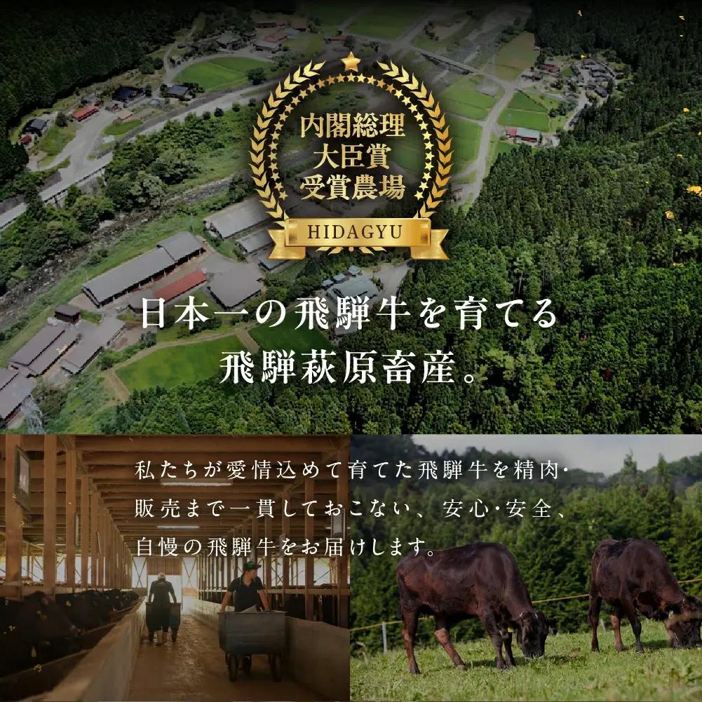 【冷凍】飛騨牛 味付け焼肉 500g【4等級以上】【22-12】