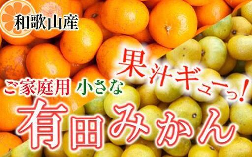 ［先行予約］家庭用 小さな有田みかん2.5kg+250g（傷み補償分）［2026年10月初旬から2027年1月末日頃順次発送予定］［IKE246］