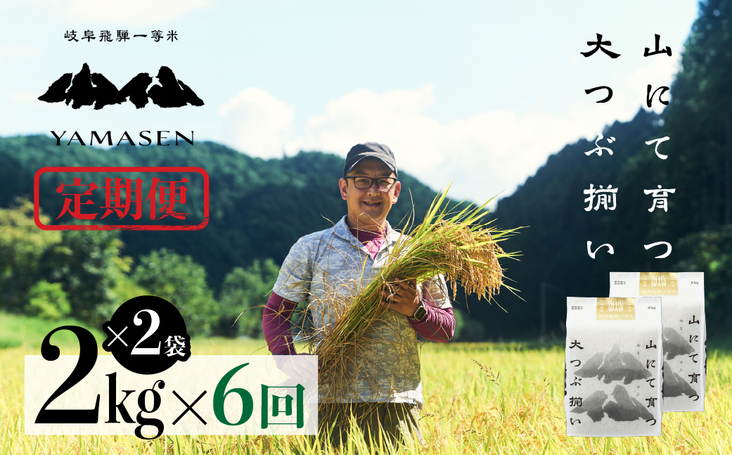 （新米）令和6年産米【定期便】山仙（いのちの壱）2kg×2（4kg）×6回 すがたらいす 下呂市金山産 2024年産 毎月 4キロ×6カ月 お米 精米 下呂温泉 下呂市 米 ブランド米【51-J】