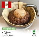 【ふるさと納税】[ 粉 ]#164 受注焙煎！310g ペルー アンデスブルー 珈琲粉 コーヒー粉 自家焙煎 | 珈琲 コーヒー カフェ 焙煎 大阪府大東市