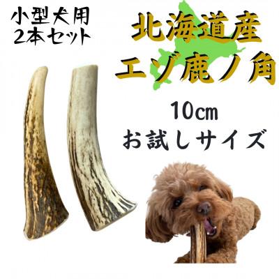 ふるさと納税 帯広市 鹿の角 お試しサイズ 10cm 2本 犬のおもちゃ デンタルケア 小型犬用