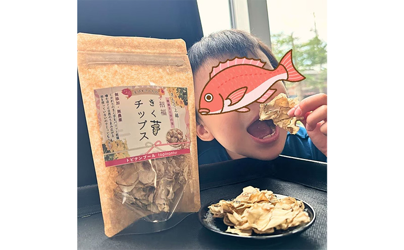 【定期便・全4回】きく芋チップス 3袋セット×4回 　菊いも