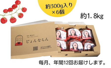 モリヒロ園芸が育てたじょんならんトマトの12ヶ月定期便
