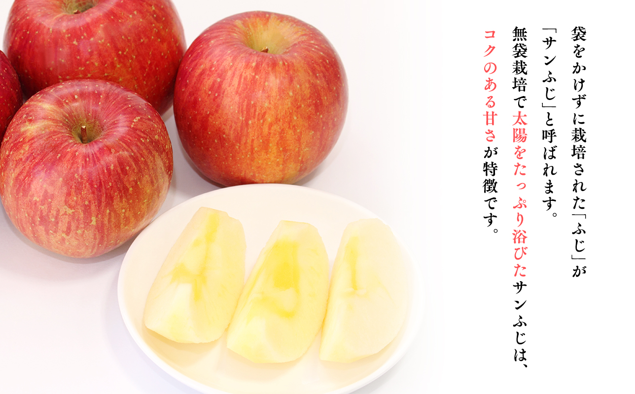 年明け 贈答規格 広船のサンふじ 約3kg「特A」年内 贈答規格 広船のサンふじ 約3kg「特A」【広船アップルクラブ・平川市広船産・青森りんご・1月・2月】