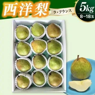 西洋梨（ラフランス）５ｋｇ　0030-2638