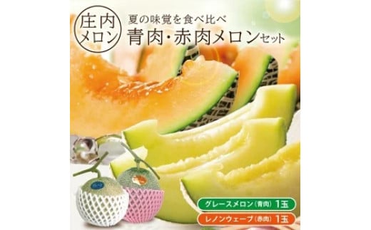 庄内メロン　グレース、レノンウェーブ　約3kg　計2玉(青肉・赤肉各1玉) SA2873