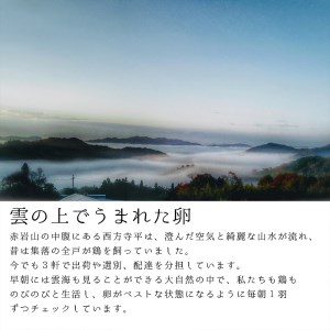 【卵 定期便６か月】赤岩高原たまご 40個×6か月 合計240個（特選）