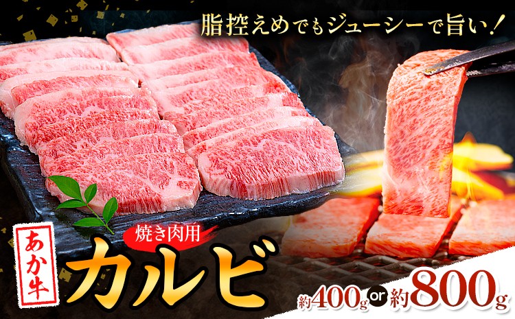 
                  あか牛カルビ 焼き肉用 選べる内容量 約400g 約800g 合同会社たべたせいか《30日以内に出荷予定(土日祝除く)》熊本県 菊池市 肉 牛肉 お肉 和牛 あか牛 焼き肉 焼肉 やきにく BBQ バーベキュー カルビ 熊本県産 冷凍 送料無料
                