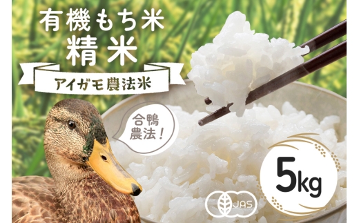 【令和7年産】有機もち米 精米5kg お米 米 白米 もち米 ご飯 ごはん 国産米 産地直送 茨城県 石岡市 B03-005