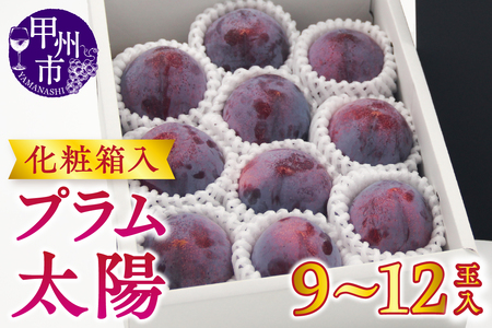 【宿沢フルーツ農園】プラム『太陽』（9～12玉）【2026年発送】（SF）B-194 すもも フルーツ