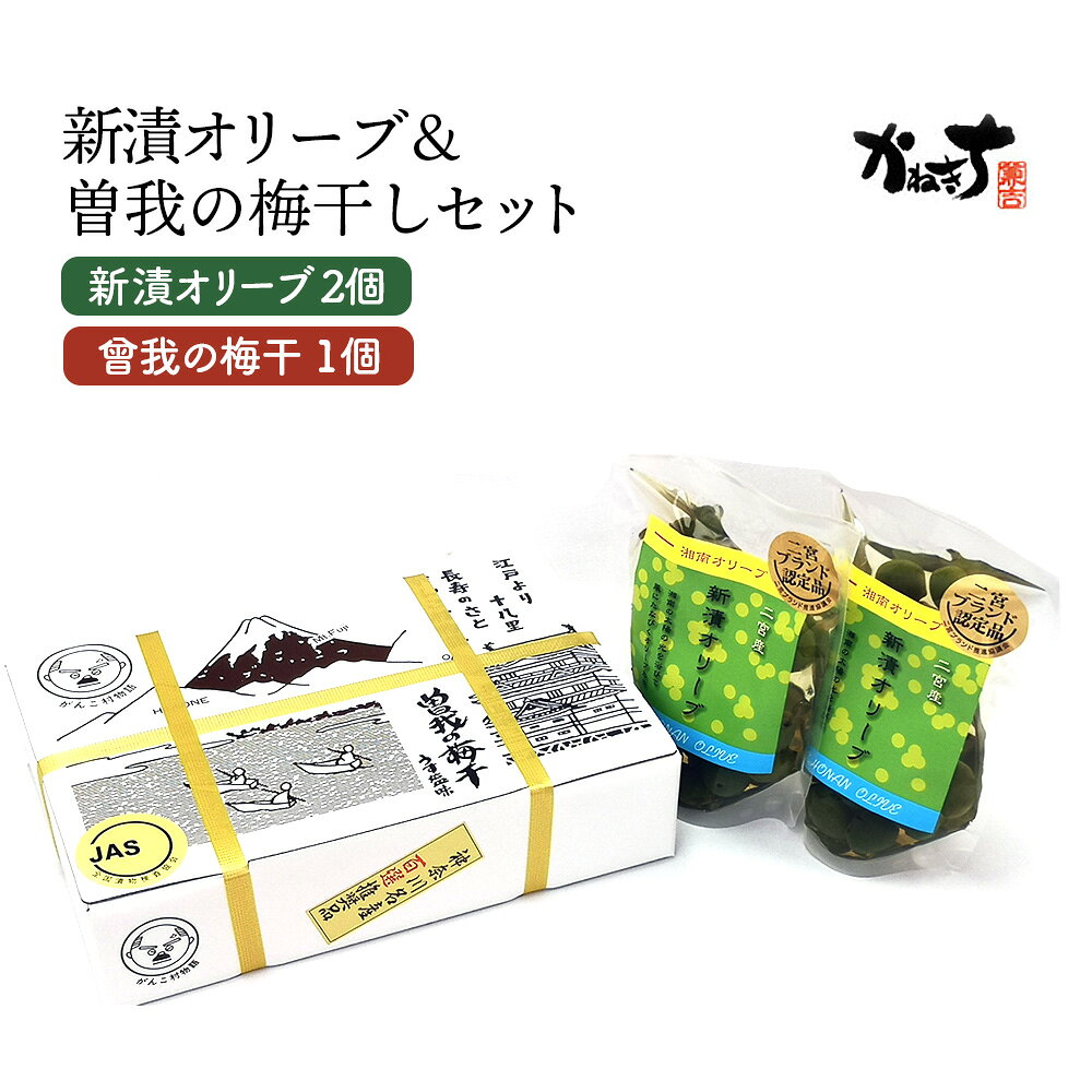 【ふるさと納税】新漬オリーブ＆曽我の梅干しセット【かねきち】／ 新漬オリーブ 60g×2 曾我の梅干 500g 詰め合わせ グリーンオリーブ 曾我梅林 整腸作用 醗酵食品 神奈川県 特産品 塩漬け 梅 まろやか 酸味 さっぱり 漬物 おつまみ 和食 食卓 常温保存 伝統製法 No.076