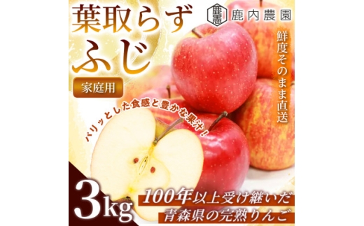 ＜甘くてみずみずしい＞ りんご 「葉取らずふじ」 家庭用 約3kg (約9～12個入り) 青森市 産【1785147】