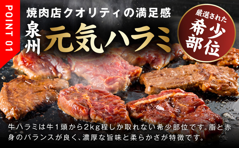 【定期便】牛ハラミ肉 900g×全6回【小分け 300g×3P 秘伝の赤タレ 味付き 焼肉 訳あり サイズ不揃い 毎月配送コース】 099Z523_イメージ2