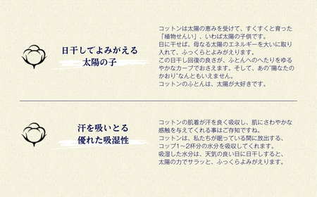 オーガニックコットン 掛ふとん セミダブルロング