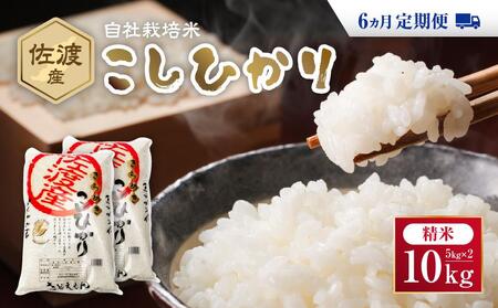 自社栽培米佐渡産こしひかり（精米10kg）6カ月定期便