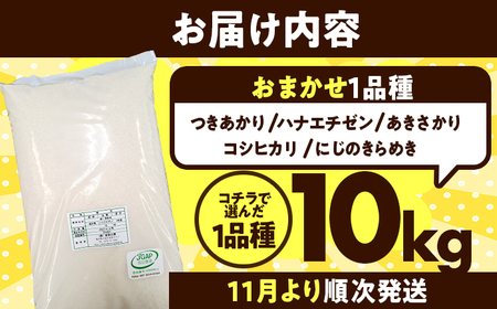 【訳あり】【数量限定】フードロス応援米 10kg 10kg×1袋