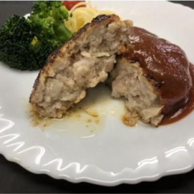 ふるさと納税 南房総市 里見和豚　挽肉2kg　小分け包装(100g×20パック) |  | 01