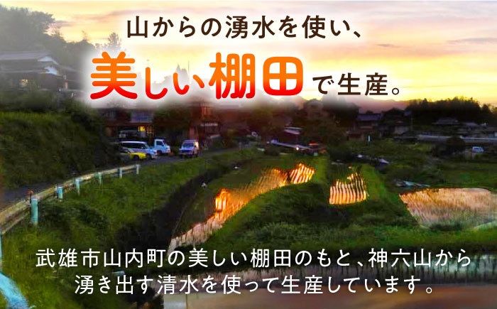 【3回定期便】自然農法で育てた 古代米 三穀米 1.2kg（300g×4袋）雑穀 雑穀米 米 お米